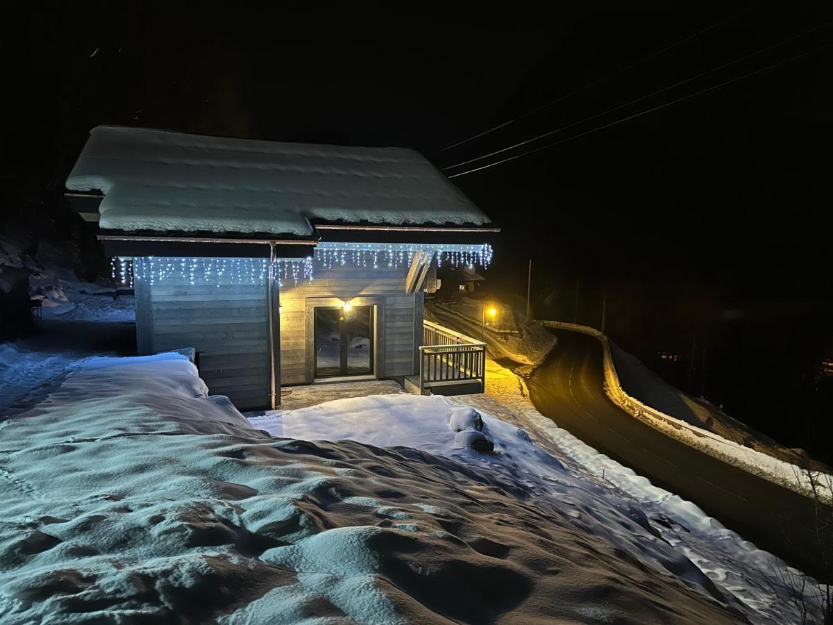 Bonnevaux  Chalet Du Bonheurヴィラ エクステリア 写真