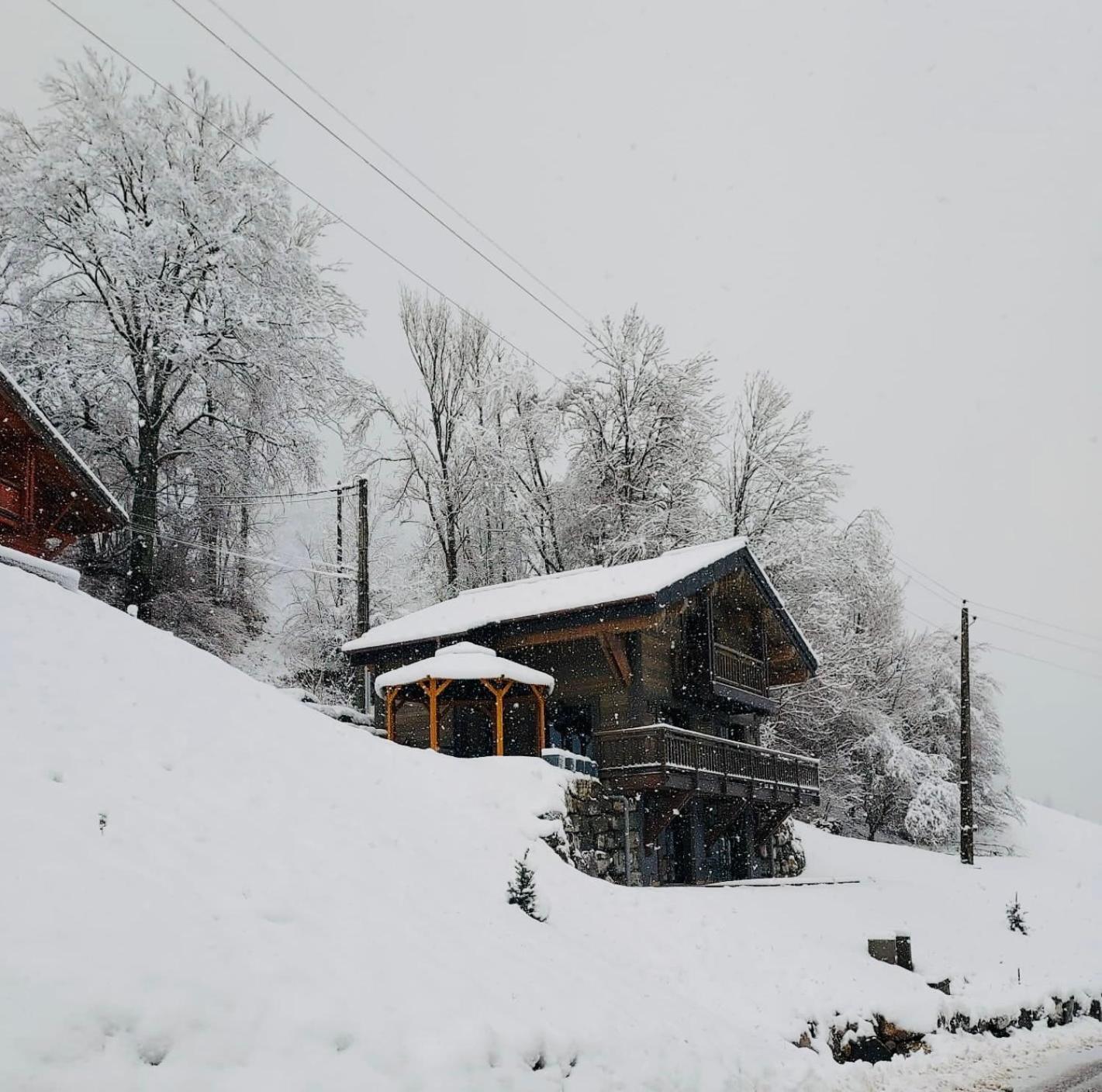 Bonnevaux  Chalet Du Bonheurヴィラ エクステリア 写真