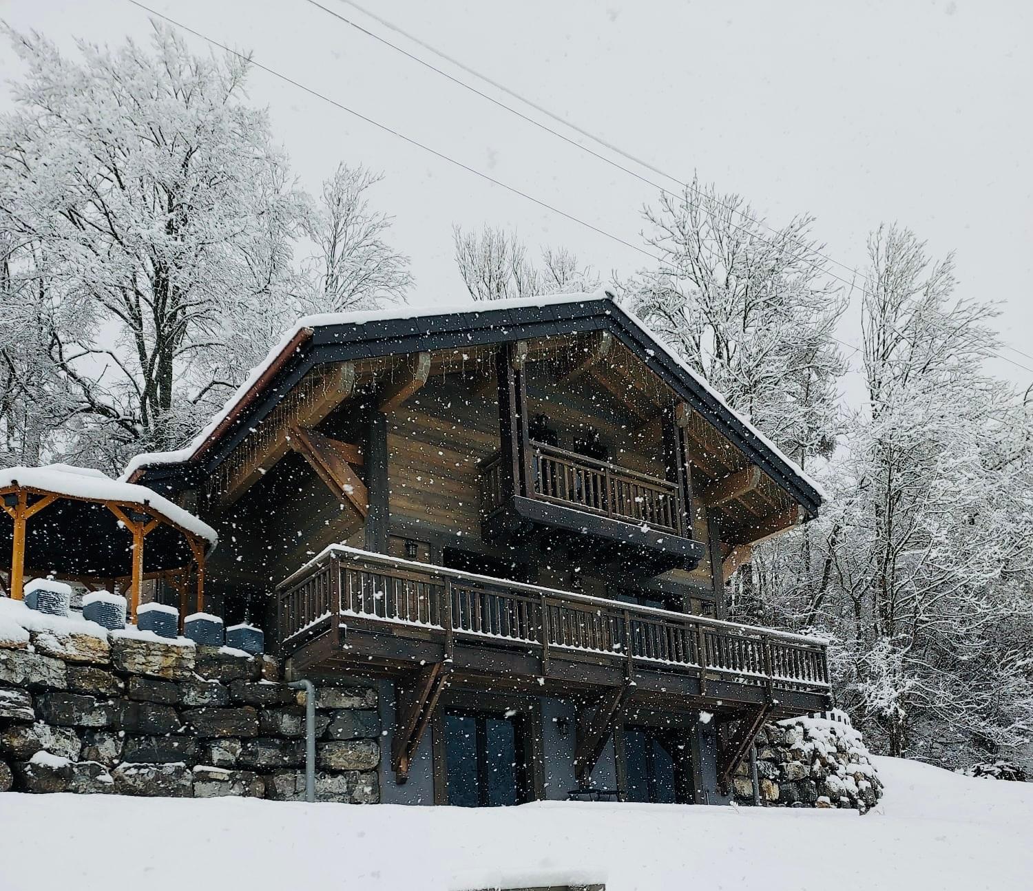 Bonnevaux  Chalet Du Bonheurヴィラ エクステリア 写真