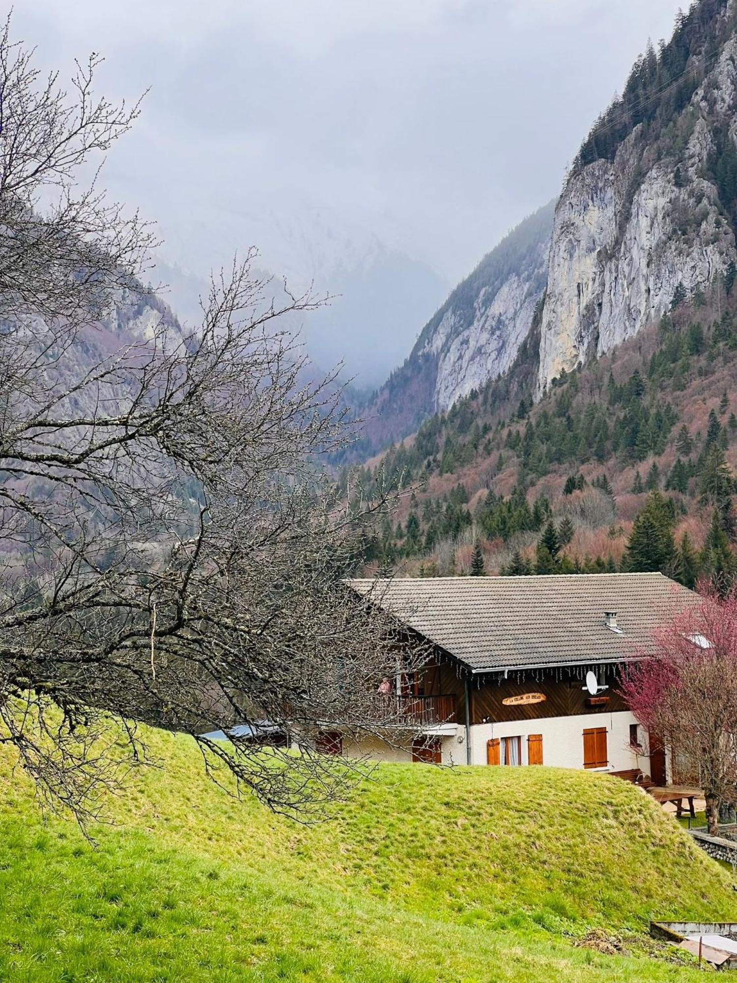 Bonnevaux  Chalet Du Bonheurヴィラ エクステリア 写真