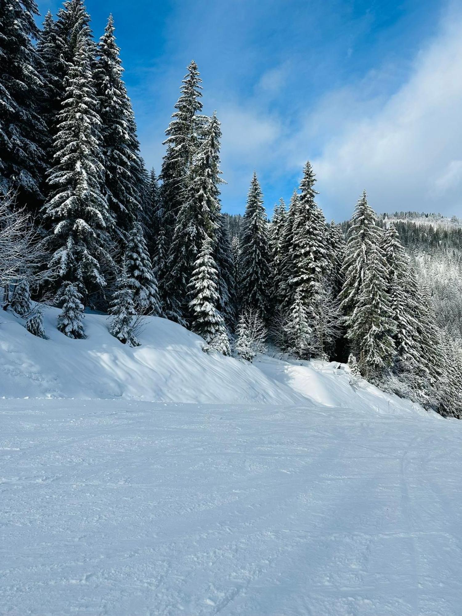 Bonnevaux  Chalet Du Bonheurヴィラ エクステリア 写真