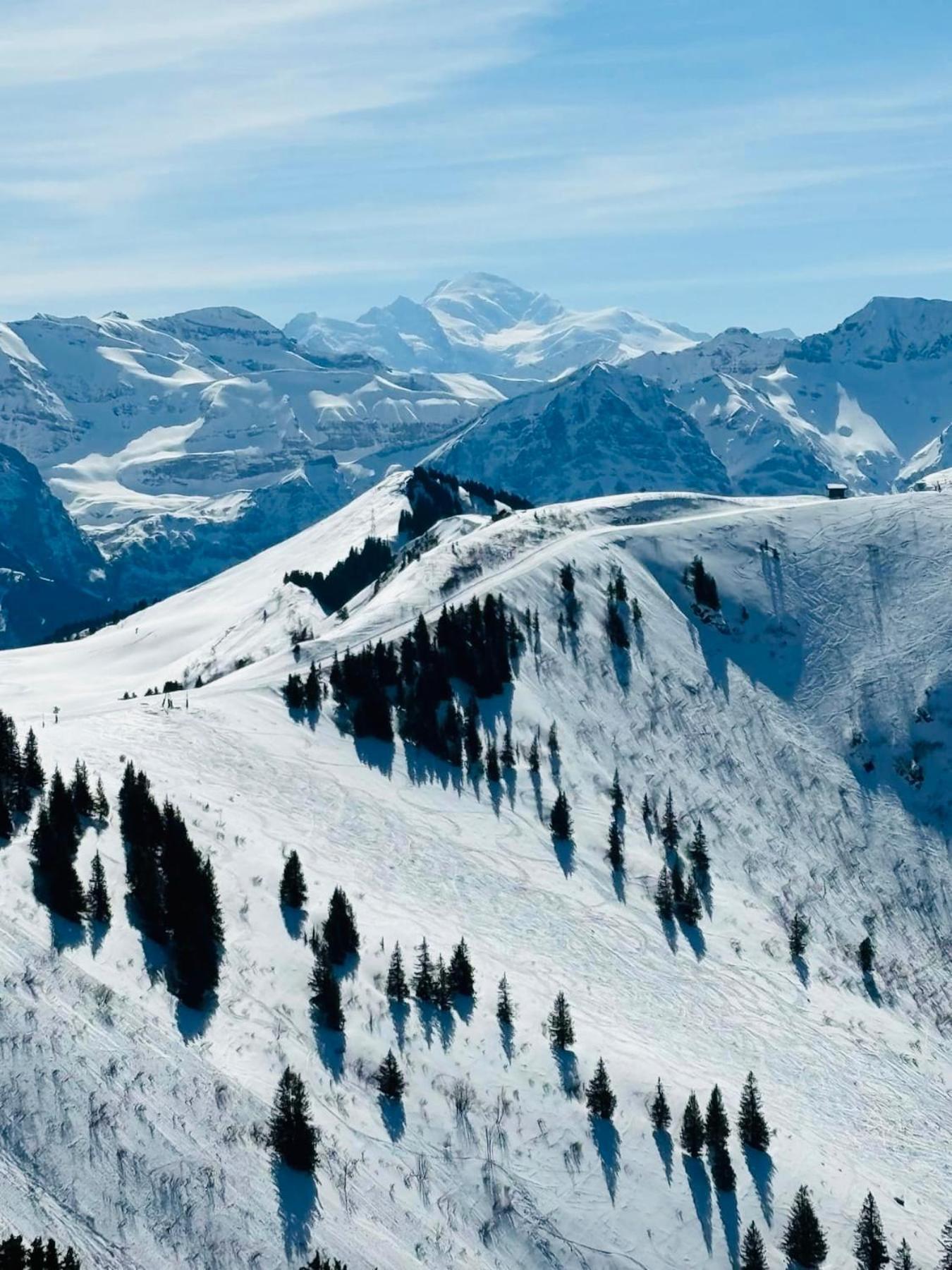 Bonnevaux  Chalet Du Bonheurヴィラ エクステリア 写真