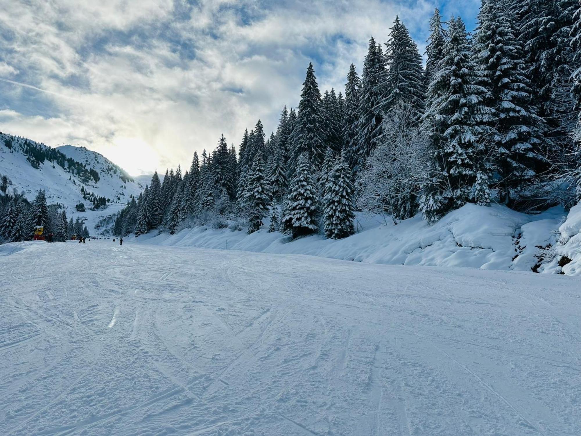 Bonnevaux  Chalet Du Bonheurヴィラ エクステリア 写真